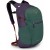 Рюкзак Osprey Daylite Plus axo green/enchantment purple - O/S - зеленый/фиолетовый